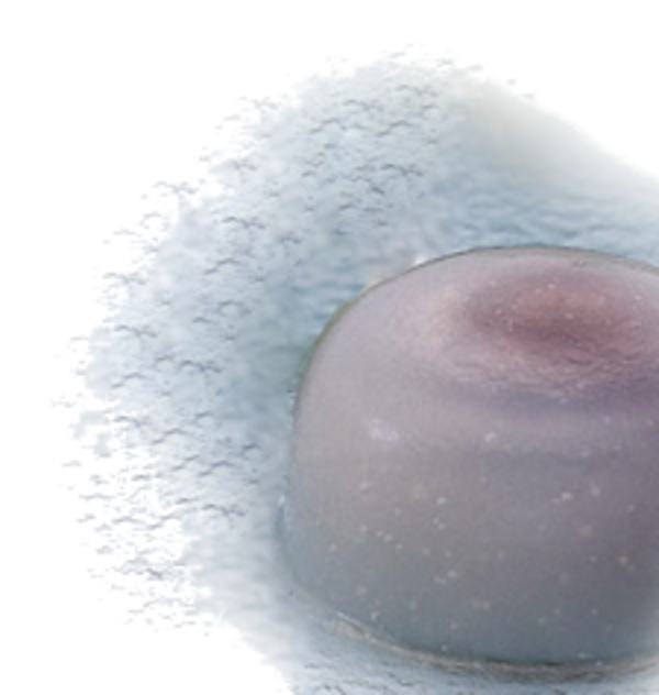 mizu1